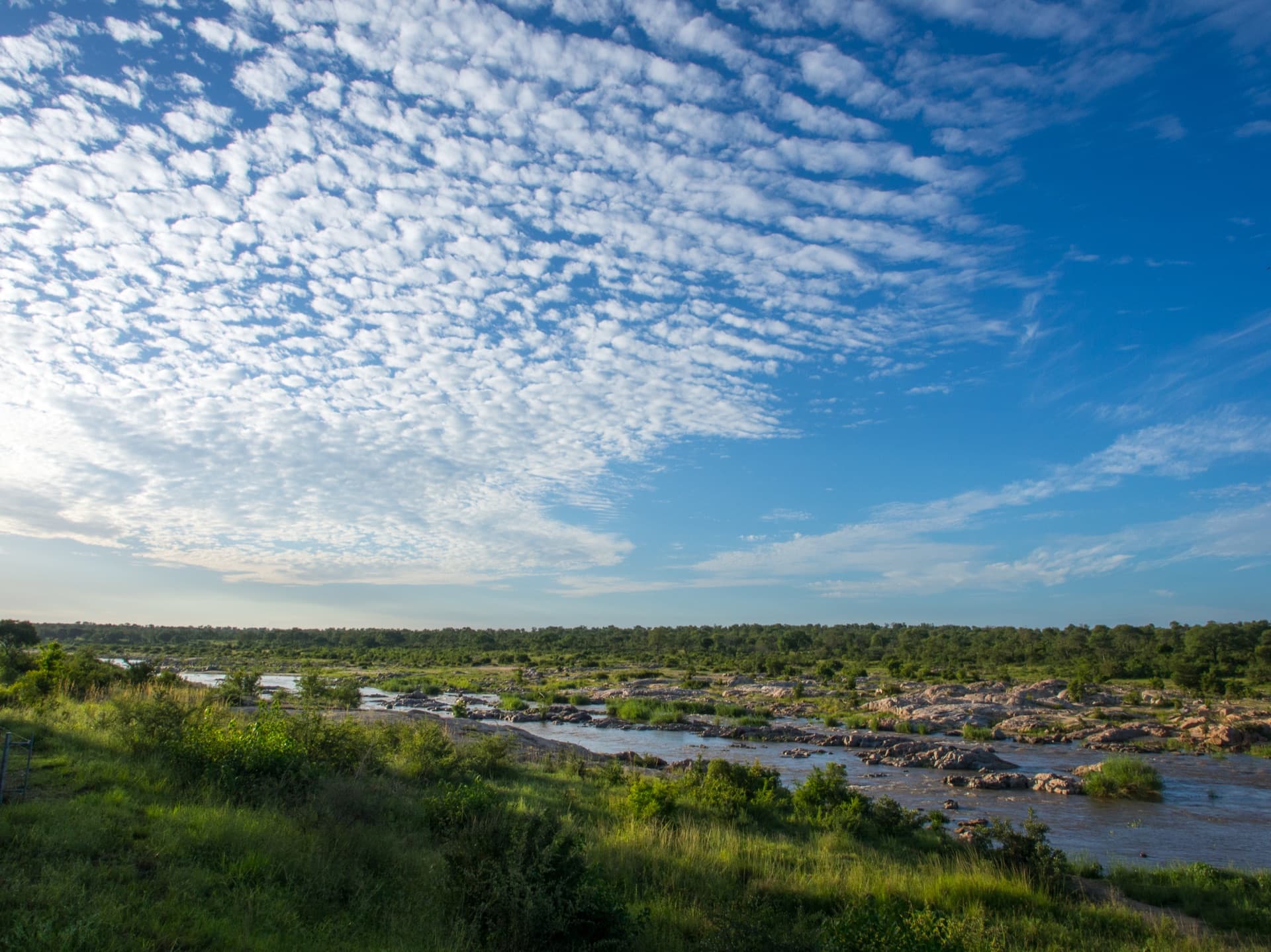 Bushveld landscape at Mjejane