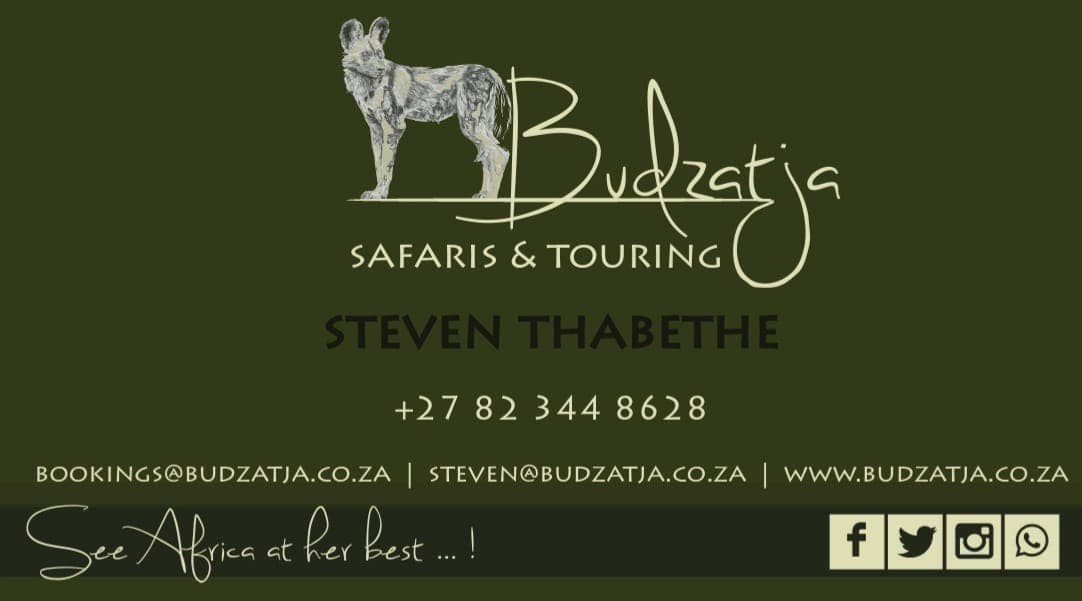 Steven Thabethe — Budzatja Safaris & Touring business card with phone +27 82 344 8628 and emails bookings@budzatja.co.za and steven@budzatja.co.za