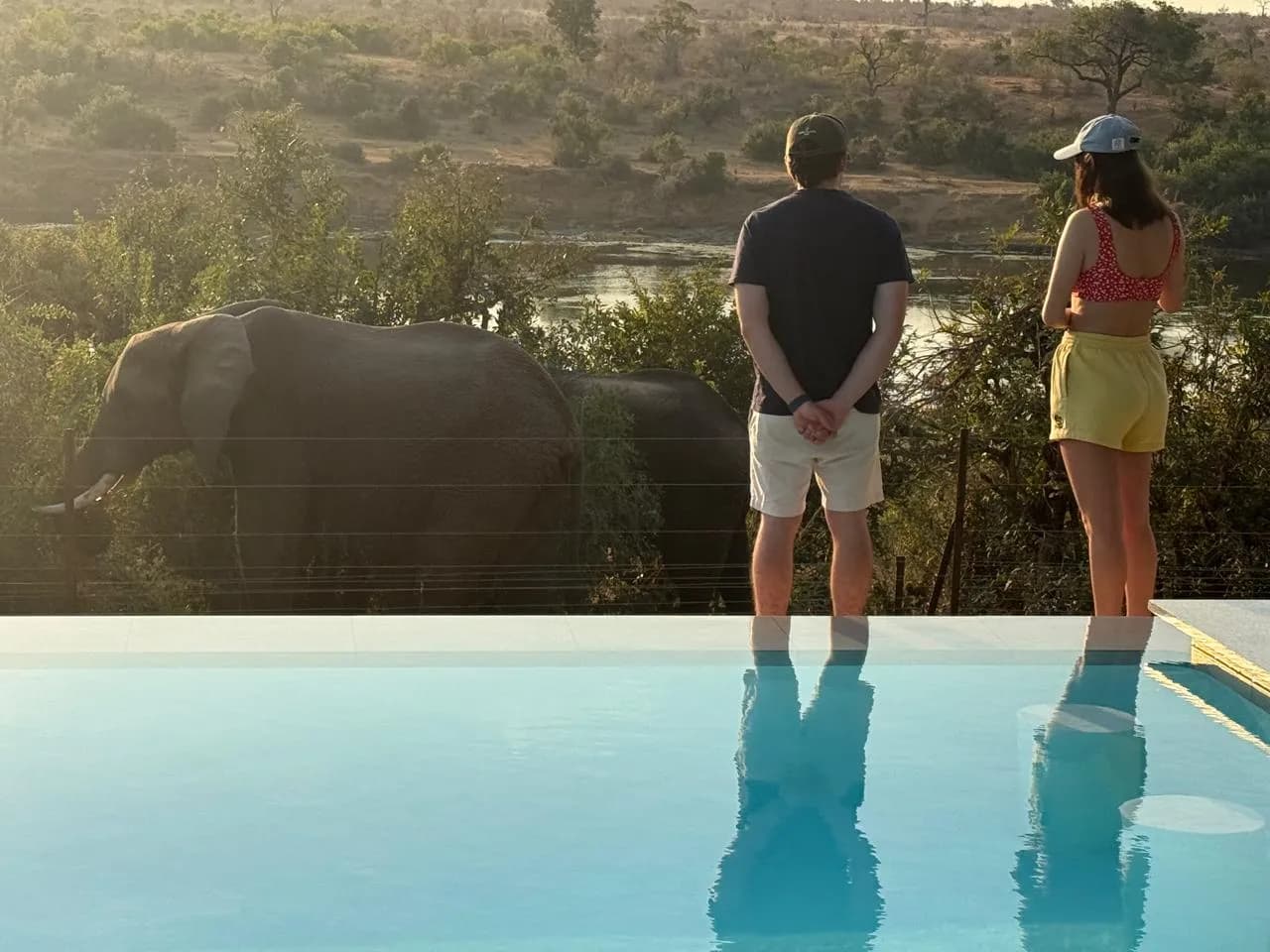 Guests watching a breeding herd of elephant on a guided game drive