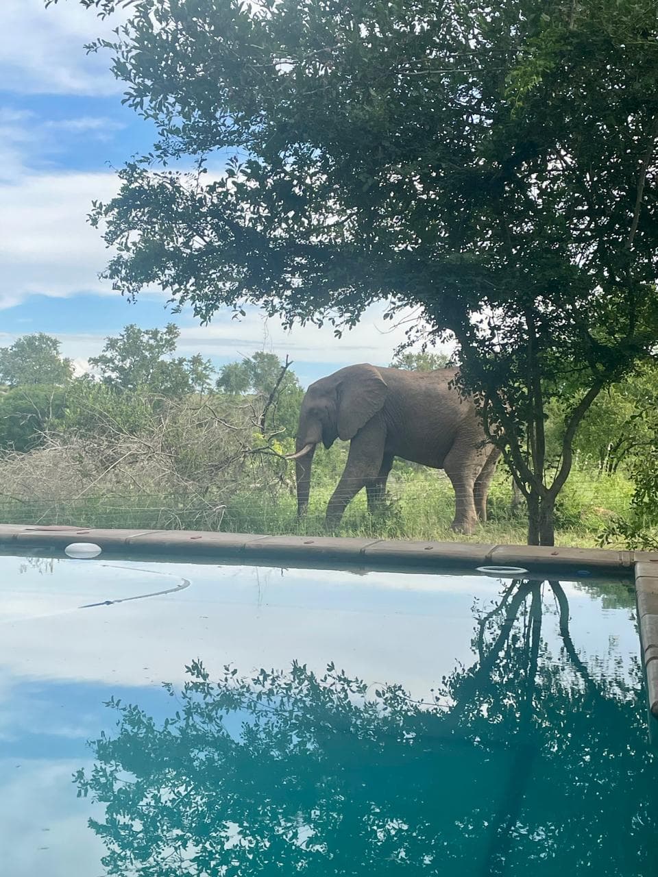 Family holiday at Mjejane Game Reserve lodge