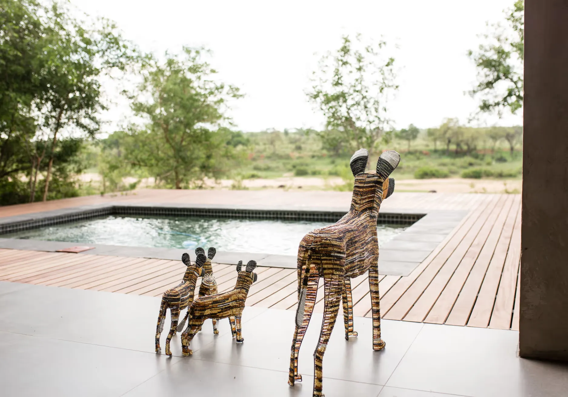 Ziziphus River Lodge - general