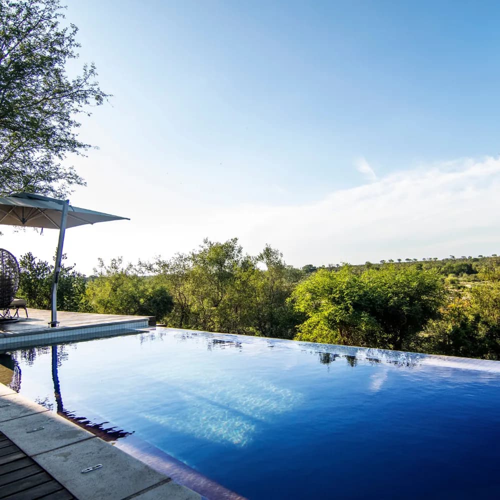 Private infinity pool at Mjejane safari lodge